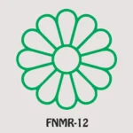 MDF Rangoli Decorative Floor Art - FNMR12